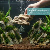 Natural Pine Bark Stone for Aquarium Landscaping, Terrarium, and Bonsai Decor