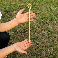 tent stake