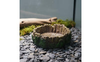 Decorative Turtle Feeding Plate Easy to Clean Tree Stump Water Bowl Long-Lasting Amphibian Food and Water Bowl for Vivarium