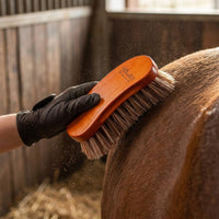 Horse Grooming Brush Stiff Bristles Long-Strand Horse Brush Wood-Look