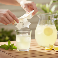 Star-Shaped Silicone Ice Cube Tray for Summer Drinks