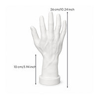 Mannequin Hand with Base Molded Hand Mannequin PVC for Photographers