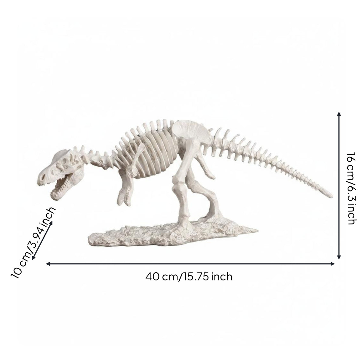 Tyrannosaurus Rex Skeleton Resin Tyrannosaurus Skeleton Rock-Like baseLike Base Dinosaur Statue for Decoration