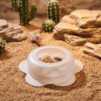 Semi-Transparent Reptile Feeding Bowl Translucent Feeding Dish Low-Profile Reptile Bowl Anti-Escape