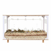 Clear Transparent Hamster Enclosure Decorative Acrylic Hamster Enclosure Clear Box Pet Home