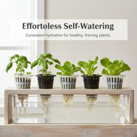 Hydroponic Net Pots for Soilless Cultivation, Fruit, Vegetable, and Flower Root Fixing, Moisture Retention, Wall-Mounted Planters