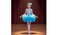 School Choir Uniform Soft Tulle Skirt Girls' Glitter Ballet Skirt Dress Boys' Glitter Performance Outfit Bright Hues