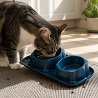 Double Stainless Steel Pet Bowl for Cats and Dogs, Non-Slip Tilted Food and Water Feeder