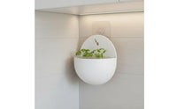 Drill-Effortless Installation Wall Hanging Planter Minimalist Design Wall Mounted Plant Pot Multipurpose Use Semi-Circular Hanging Pot