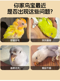 鹦鹉取暖器恒温温控玄凤小太阳牡丹专用保温灯鸟笼加热灯过冬神器