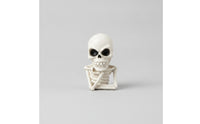 Gothic Skeleton Figurine Spooky Skeleton Bust Resin Skull Bust Matte for Halloween, Tabletop, Desk, Shelf