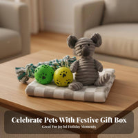 5 Pieces Dog Toy Gift Box Boredom Relief Dog Toy Gift Set Squeaky Toys Soft Rope Ball Blanket Set for Dogs, Young Dogs, Birthday, Fun Time, Cuddling