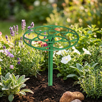 Indoor Plants and Outdoor Plants Support with Monstera Support, 50 Pack of Clear Spiral Plant Clips, Adjustable Plant Stakes for Growth Guide