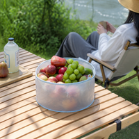 collapsible basin