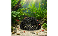 3D Printed Aquatic Cave Odorless Crustacean Dome Hideout Easy to Assemble
