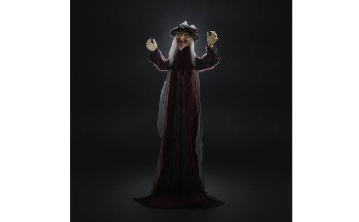 Poseable Halloween Decoration with Sound Life-Size Witch Ghost Animated Ghost Witch Interactive for Entryway, Yard