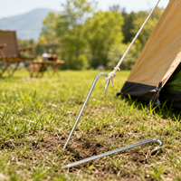 rebar ground stakes