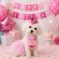 Dog Birthday Party Decorations Set, Cartoon Dog Bandana & Hat, Plain Weave Pet Accessories for Fun Photoshoot