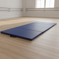 Foldable Design 4-Panel Tumbling Mat Non-Slip Surface Folding Gymnastics Mat Easy to Clean Thick Crash Pad Waterproof for Home