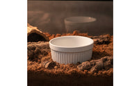 Low-Height Reptile Water Bowl Long-Lasting Ceramic Bowl with Ribbed Exterior Safe Reptile Dish Elegant for Small Pets