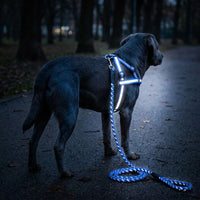 Reflective Dog Leash and Retractable Dog Leash for Night Walking, Nylon Leash for Evening Walks, Outdoor Dog Gear