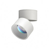 Cylindrical Head Surface Mount Lamp Rotatable Adjustable Ceiling Lamp Foldable Surface Mounted Light Aluminum