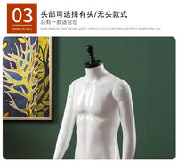 Male Half-Body Mannequin for Clothing Store Display