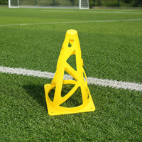training cone