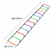 agility ladder