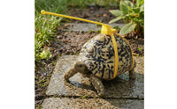 Turtle Harness and Leash Hanging Tether Turtle Walking Leash Yellow Reptile Walking Harness for Exercise