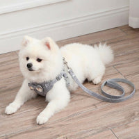 Adjustable Nylon Cat Harness and Leash Set, Strap Walking Harness for Outdoor Travel