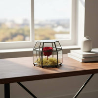 Hexagonal Glass Box Hinged Lid Glass Terrarium Case Lidded Display Box Multipurpose Vintage Design Jewelry Organizer for Desktop