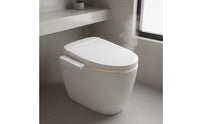 Adjustable Temperature Electric Bidet Seat Self-Cleaning Nozzle Warm Water Bidet Seat Posterior Cleansing Bathroom Fixture