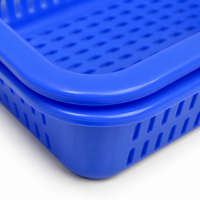 Red Square Kitchen Sieve, Stackable Pantry Storage Containers, Fridge Storage Containers for Produce, Perforated Vegetable Basket