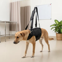 Adjustable Straps Dog Rehabilitation Harness Multi-Functional Pet Grooming Sling Padded Handle for Elderly Dogs, Stair Climbing, Car Entry