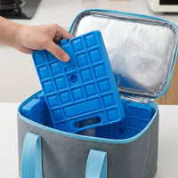 Ice Pack and Freezer Blocks for Cool Box, Reusable Ice Packs for Lunch Box and Kids, Large 1000ml Capacity Ice Blocks, Food Grade Odorless Shell