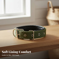 Padded Dog Sturdy Padded Nylon Pet Accessories-Resistant Dog Neck Strap for Daily Walks, Outdoor Activities, Training Periods