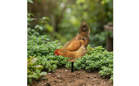 Decorative Chicken Stake with Ground Insert Reusable Chicken Garden Stake Weatherproof Lawn Ornament Sturdy for Flower Bed