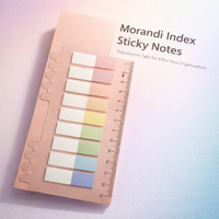 see-through PET Index Tabs Sticky Notes, Removable Divider for Notebooks, Filing for Students, Stickers for Organizing