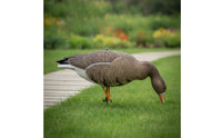Realistic Goose Decoy with Stake Soft Goose Model Lightweight Waterfowl Decoys Long-Lasting For