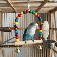 Parrot Swing Arch Wooden Avian Perch, Colorful Parrot Toy with Hanging Bell for Entertainment
