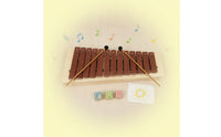 Xylophone with Mallets 13-Tone Wooden Xylophone Detachable Percussion Instrument for Beginners, Students, Music Lessons, Classroom