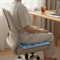 Cooling Gel Seat Cushion for Office Chairs and Students, Breathable Ice Pad for Summer