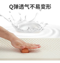 宠物狗乳胶垫窝四季通用猫咪床垫垫子冬季保暖金毛泰迪中型大型犬