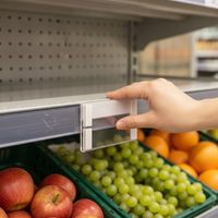 Acrylic Adhesive Price Tag Holder for Shelves and Displays