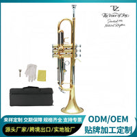 Two-tone B-flat Trumpet with Brass Body and Stainless Steel Pistons