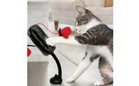 Interactive Cat Boxing Toy Padded Spring Cat Toy for Apartments