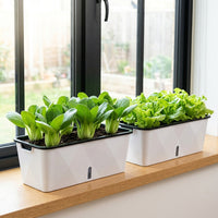 Large Automatic-Watering Planter Box, Outdoor Plant Pots for Balcony, 15L Grow Box with Soil & Plant Food, Synthetic Material