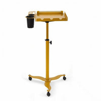 Salon Cart with Tool Holders Rolling Salon Trolley 360-Degree Swivel Hairdresser Cart for Studios