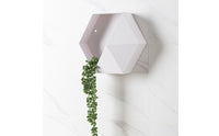 Faceted Hexagonal Wall Shelf Deep Cavity Hexagon Wall Shelf Matte Finish